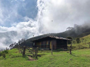 BIRDGLAMPING AVITURISMO LOS ÁRBOLES-ESTACIÓN BIOLÓGICA LA GUAYANA